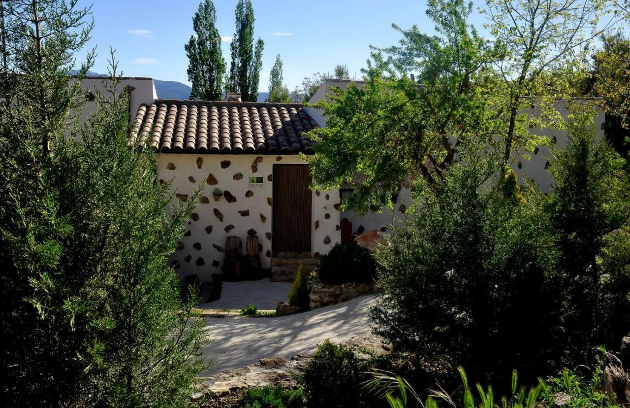 Country house 